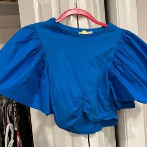 Zara Cropped Royal Blue Top